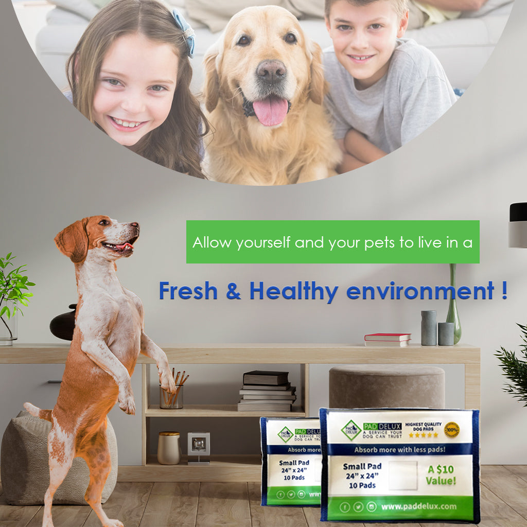 Cleaner indoor air quality with better dog pads